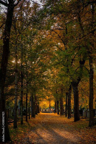 Fototapeta Naklejka Na Ścianę i Meble -  Sonnenuntergang im Herbst auf einem Friedhof