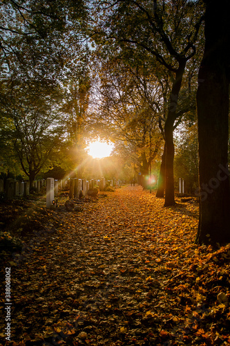 Sonnenuntergang im Herbst auf einem Friedhof