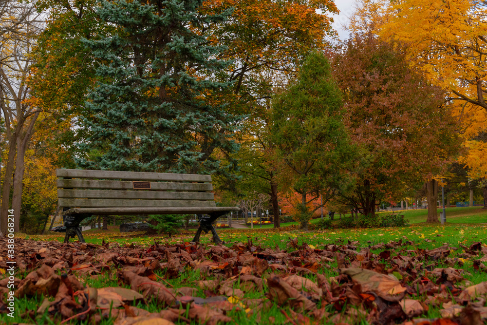 An empty bench awaits weary walkers among the autumn colours and fallen leaves in Gairloch Gardens in Oakville, Ontario on a mostly cloudy day.