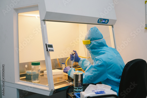 A scientist in PPE safty uniform pipetting sample experiment in biological safety cabinet (BSC).