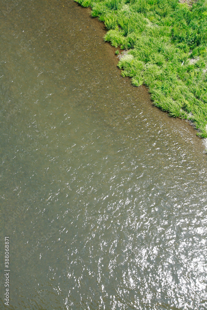 多摩川の水面 多摩川の水面