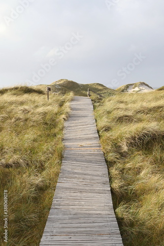Wooden blanks path, Isle of Amrum, North Frisian islands, Schleswig-Holstein, Germany