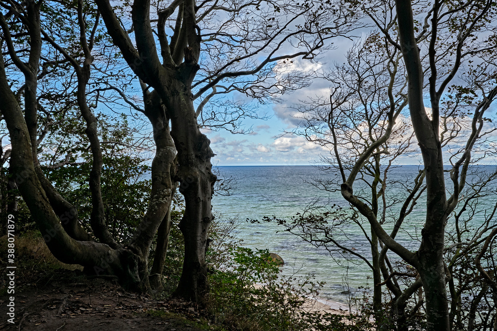 Insel Rügen.Meerblick vom Rügener 