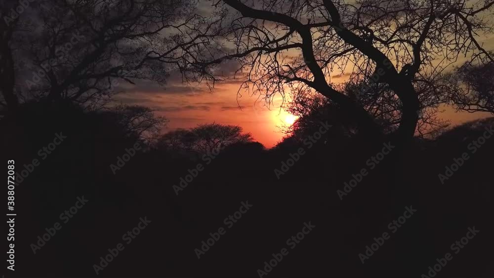Drone shat in between trees revealing the sun as it goes under in KwaZulu-Natal, South Africa Drone shat in between trees revealing the sun as it goes under in KwaZulu-Natal, South Africa