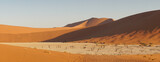 Namib desert Deadvlei 