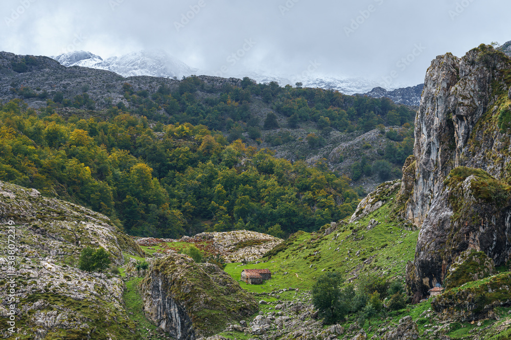 Obraz premium HOUSE IN THE VALLEY