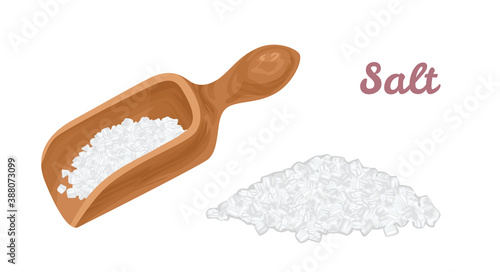 Salt in wooden scoop and  pile of salt isolated on  white background. Vector cartoon flat illustration.