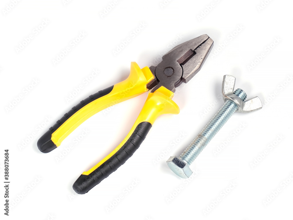 Obraz premium plier with bolt