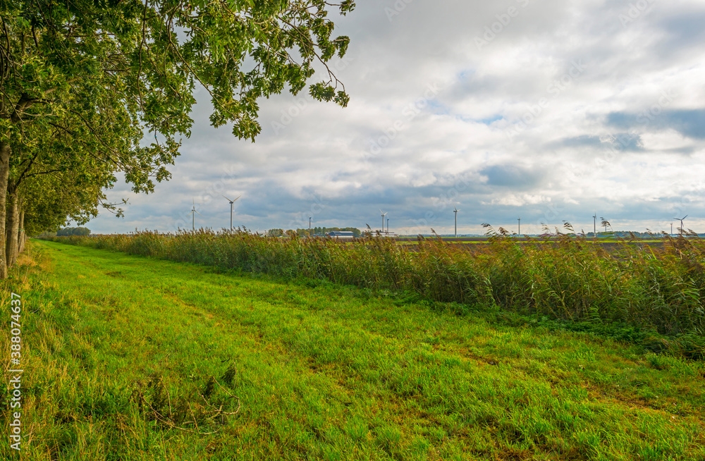 Panorama of fields under dark, grey and white rain clouds in bright sunlight in autumn, Almere, Flevoland, The Netherlands, October 26, 2020