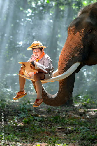 Photography An ordinary boy scout reading a book on the thai elephant trunk .