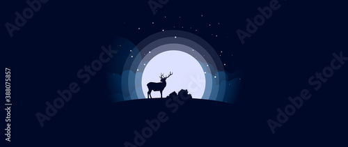 Wallpaper Animal Night #3