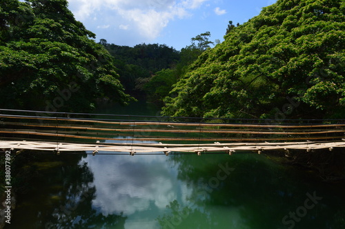 The stunning flora and fauna of the beaches and Chocolate Hills around Bohol Island in the Philippines photo