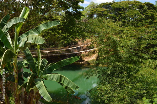 The stunning flora and fauna of the beaches and Chocolate Hills around Bohol Island in the Philippines photo