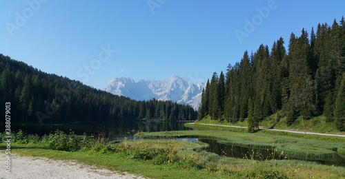 Dolomity Góry Las Zieleń