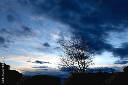 Bare tree and cloudy sky in the evening. Selective focus.