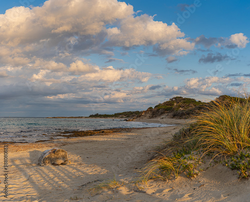 Beach hike to the Torre Guaceto in Apulia, Italy through the maritime nature reserve photo