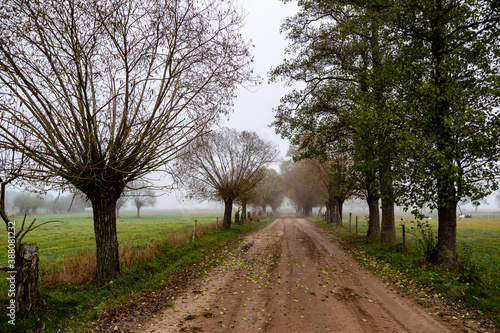 Jesienne krajobrazy Podlasia, Polska