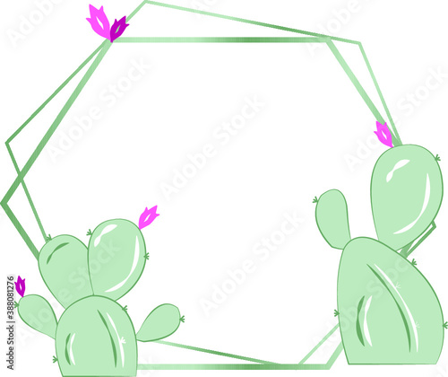 Cactus Frame