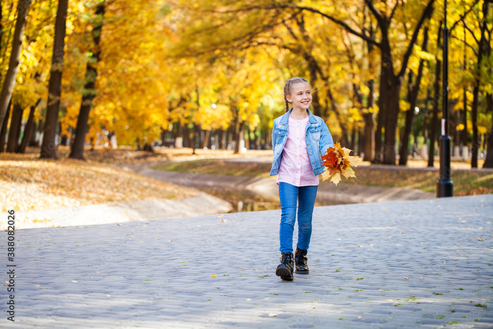 Happy little girl in an autumn park Happy little girl in an autumn park