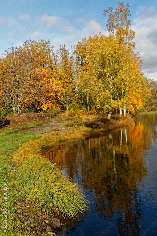 l'automne  aux mille étangs