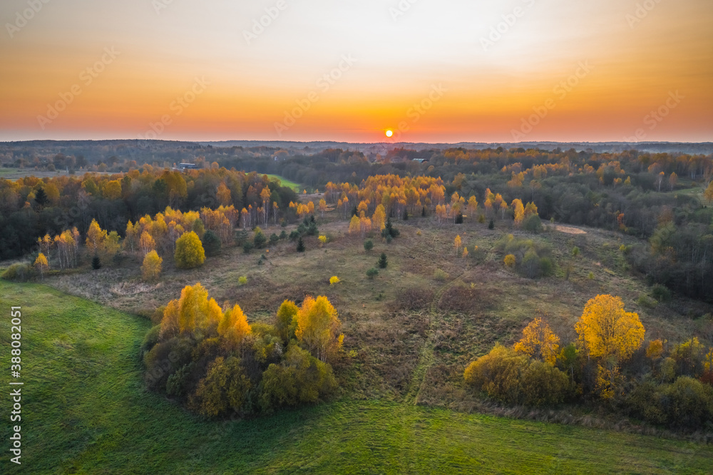 Aerial view of colored forest in autumn. Beautiful autumn forest with yellow trees. Outdoor, leaves.