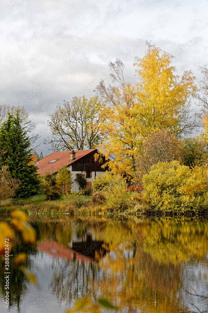 Fototapeta premium l'automne aux mille étangs