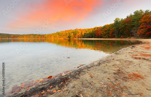 Beautiful fall foliage at Walden Pond at sun rise, Concord Massachusetts USA. Walden Pond is a lake in Concord, formed by retreating glaciers 10,000–12,000 years ago. photo