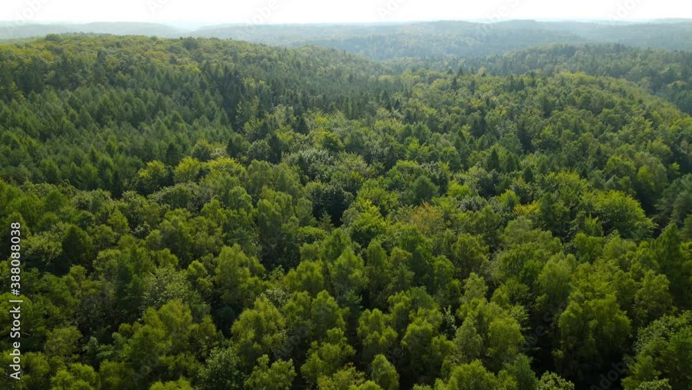 Amazing view with large green forest in hilly area. Lowering aerial panorama Amazing view with large green forest in hilly area. Lowering aerial panorama