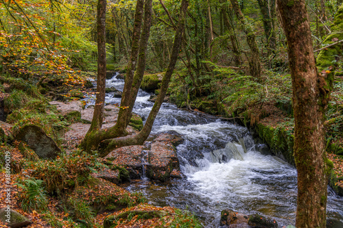 Cascading water at Golitha Falls, Cornwall in late October