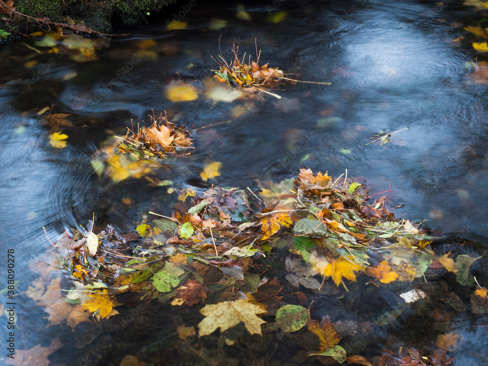 Colorful fallen autumnal leaves in long exposure water of forest stream creek in autumn with stones and moss in luzicke hory lusitian mountain in czech republic