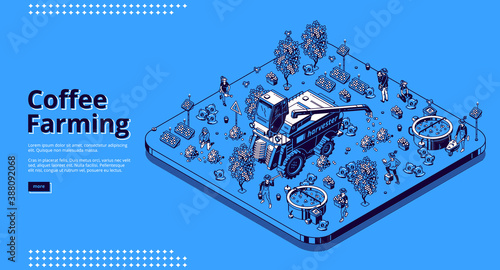 Coffee farming isometric landing page, farmers working on field care of plants and beans collecting crop. People use harvester combine machinery and instruments for work, 3d vector line art web banner