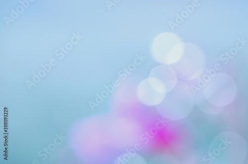defocused background of wildflowers in the morning dew (photograph)