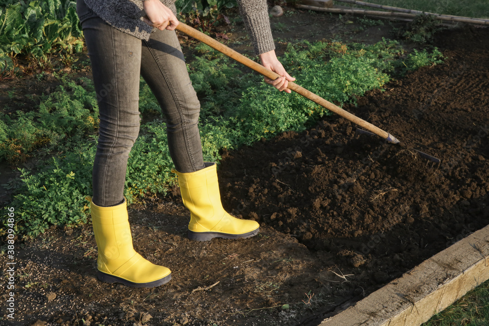 Woman in yellow rubber boots working in garden with rake leveling ground.  Soil preparation for seeding and planting, garden tools, gardening, rake,  soil, outdoor work concept. Photos | Adobe Stock
