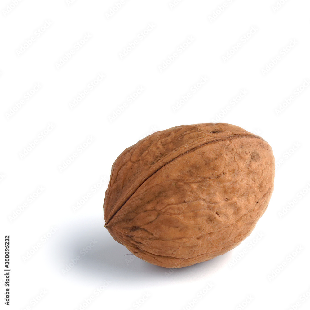 Walnut isolated on a white background with a shadow Walnut isolated on a white background with a shadow