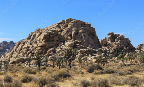 Massive rock formations in the landscape at Joshua Tree National Park in southern California. 