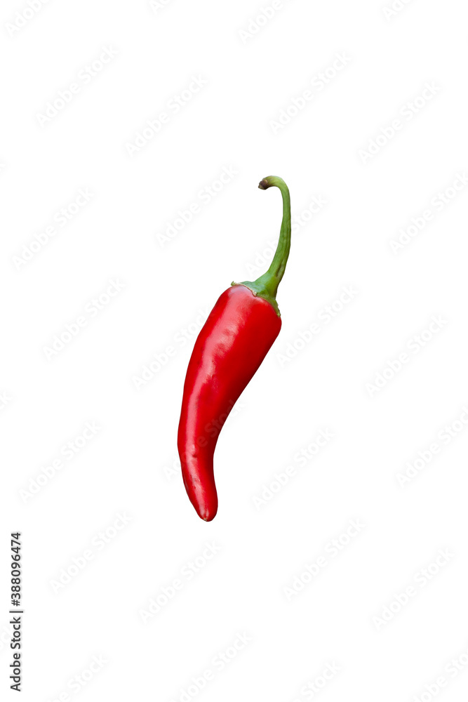 Red chili pepper on white background, isolated object