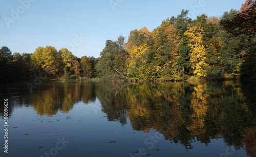Beautiful autumn landscape - colorful forest by lake and reflections in water in sunny day