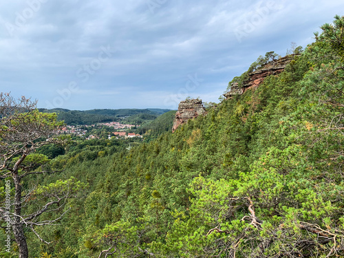 Palatinate Forest