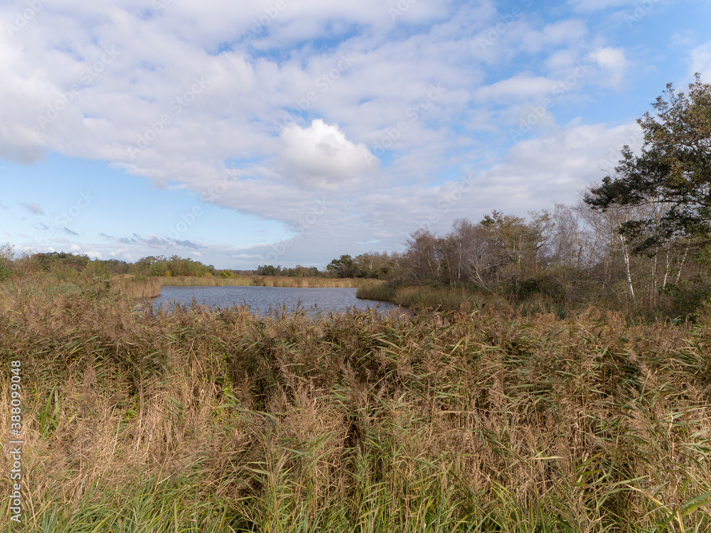 Nature reserve the Waverhoek, The Netherlands