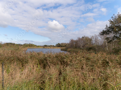 Nature reserve the Waverhoek, The Netherlands