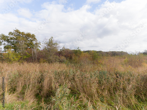 Nature reserve the Waverhoek, The Netherlands