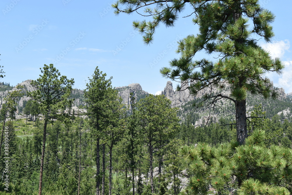 Fototapeta premium South Dakota Landscape