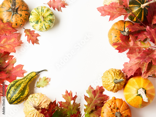 Pumpkins with autumn oak leaves over white background