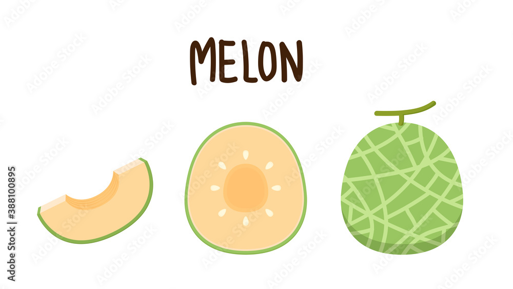 Melon logo vector. melon on white background. Half melon. Melon logo vector. melon on white background. Half melon.