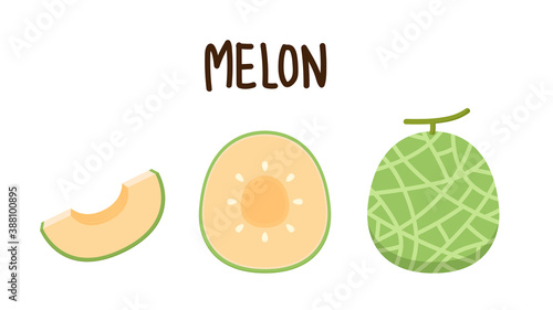 Melon logo vector. melon on white background. Half melon.