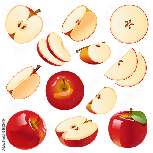 Vector image Isolated drawing apples on a white background, red apples, apple slices, apple slices, sliced apples.