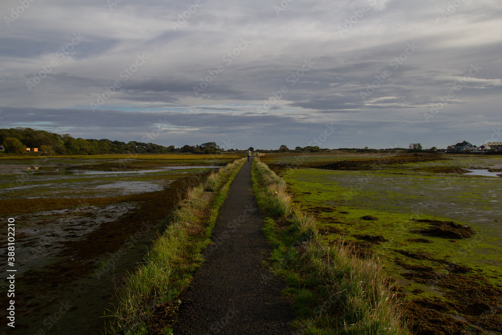 The Mill Dam at St. Helens, Isle of Wight, England