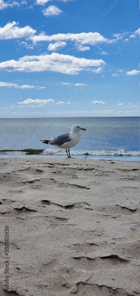 City Beach, Rockaway beach, quiet and empty ocean with a peaceful glow in the background. New York City Beach, Rockaway beach, quiet and empty ocean with a peaceful glow in the background. New York