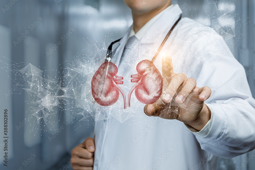 Patient kidney diagnosis and treatment concept. Patient kidney diagnosis and treatment concept.