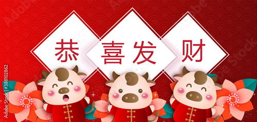 Chinese new year 2021 year of the ox banner .